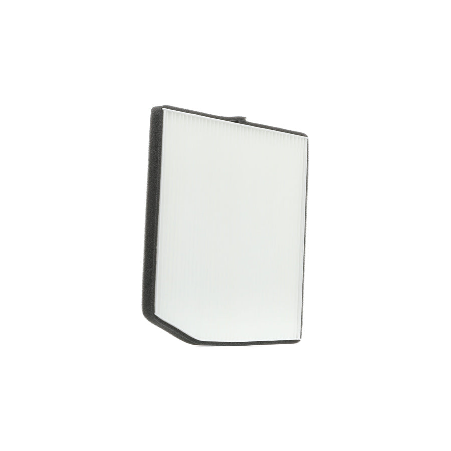 Kraft 1736310 Pollen Filter