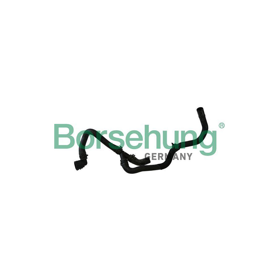 Borsehung B11972 Radiator Hose