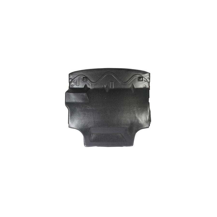 Blic 6601-02-2530860P Engine Cover for Ford Escort