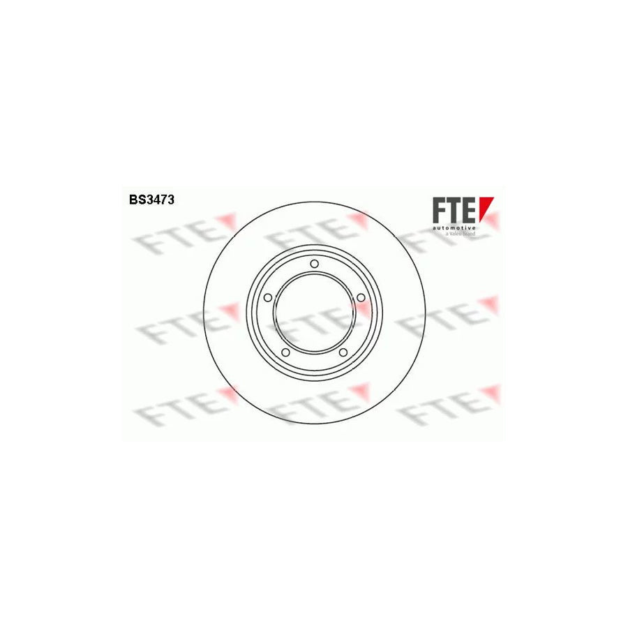 FTE Bs3473 Brake Disc