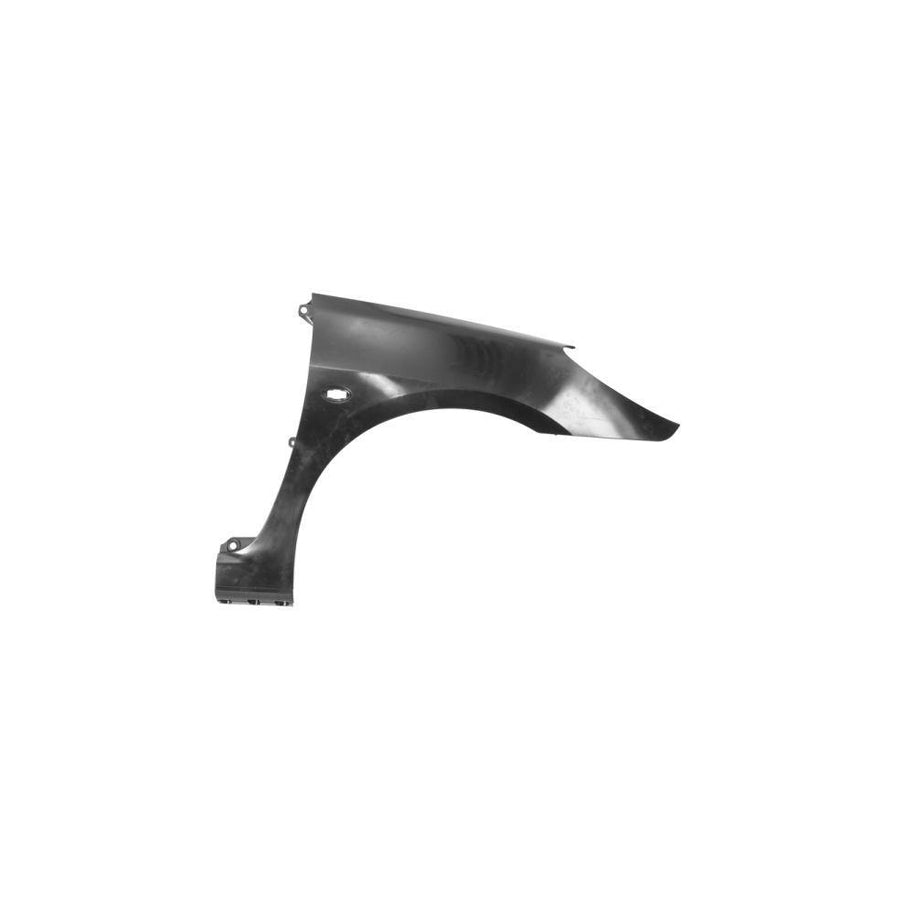 Blic 6504-04-5514314Q Wing Fender for Peugeot 307