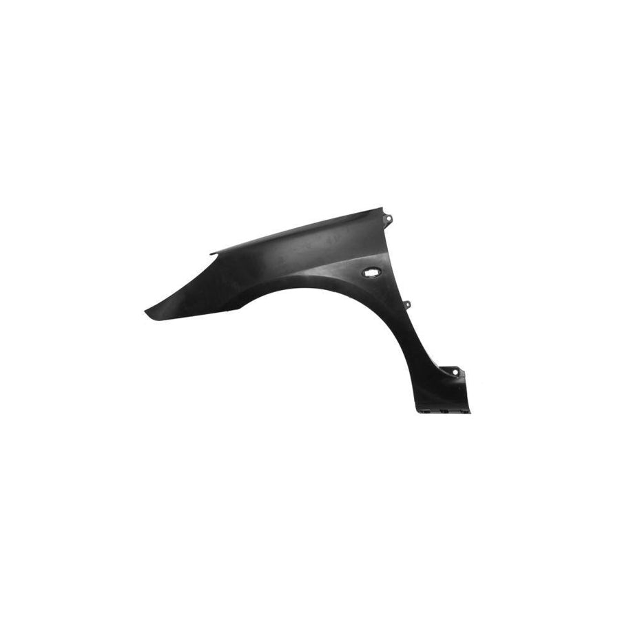 Blic 6504-04-5514313Q Wing Fender for Peugeot 307