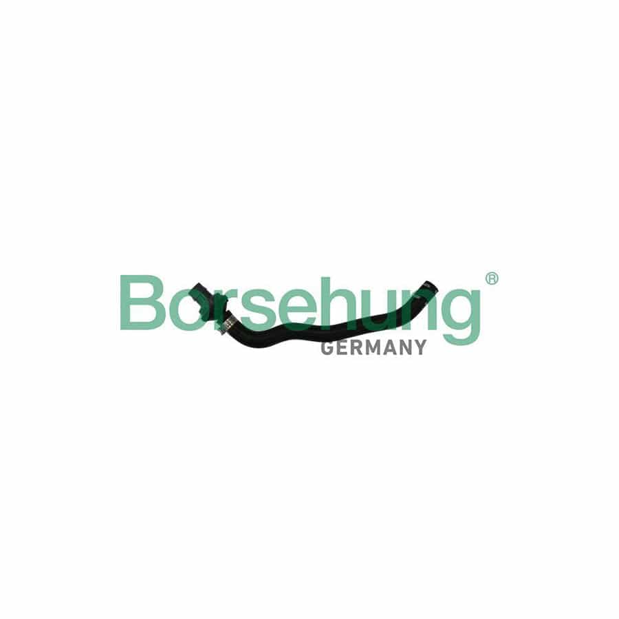 Borsehung B11971 Crankcase Breather Hose