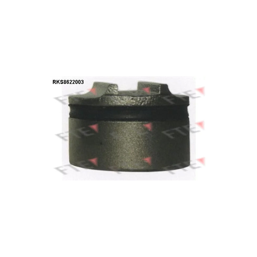 FTE 9313167 Piston, Brake Caliper