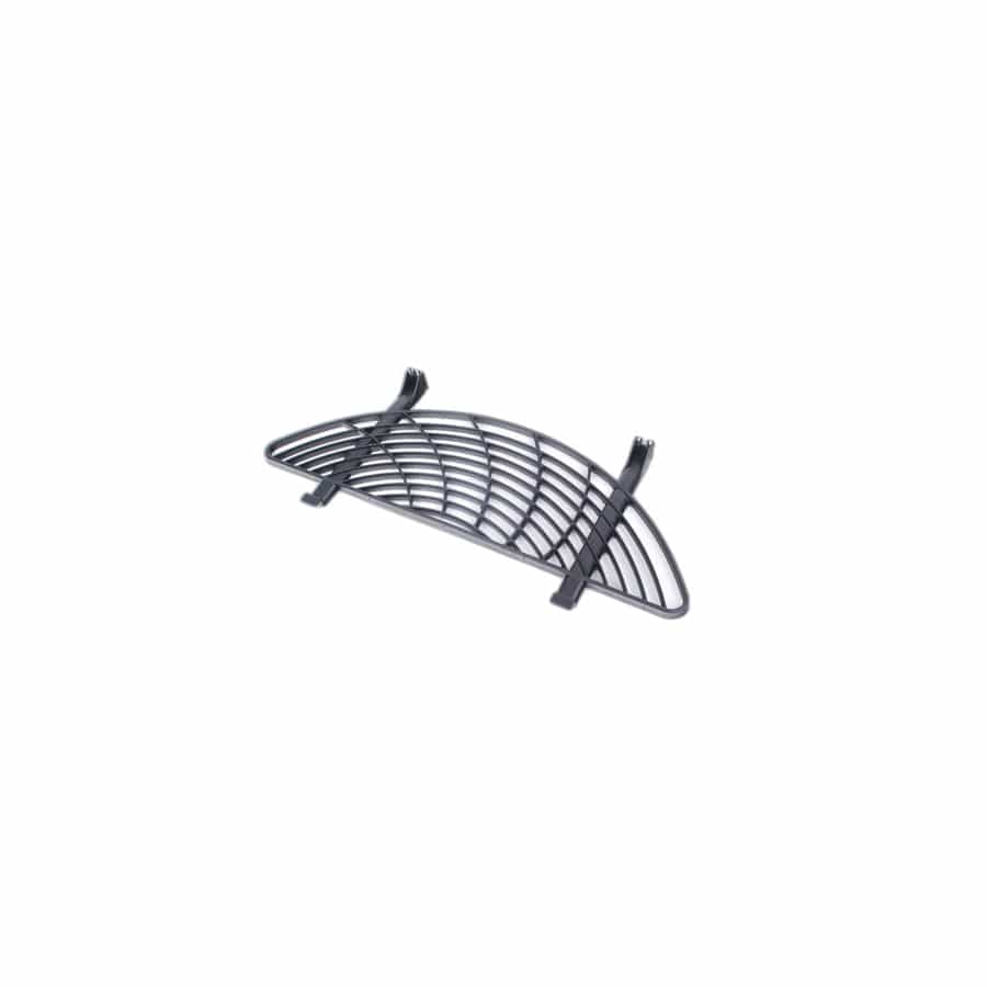 Genuine BMW 51717000432 E46 Protecting Grille (Inc. 318Ci)