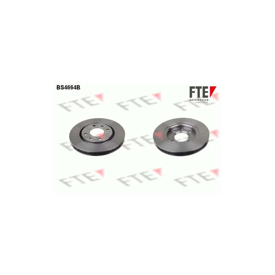 FTE 9082111 Brake Disc for Peugeot 406