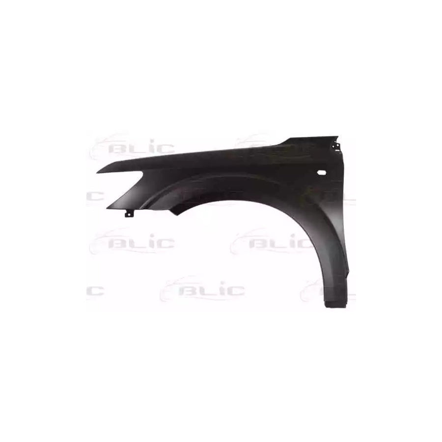 Blic 6504-04-2050311P Wing Fender