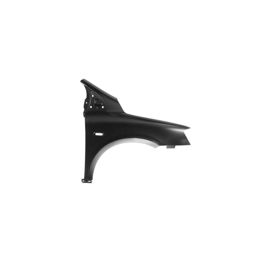 Blic 6504-04-2045314P Wing Fender for Fiat Multipla (186)