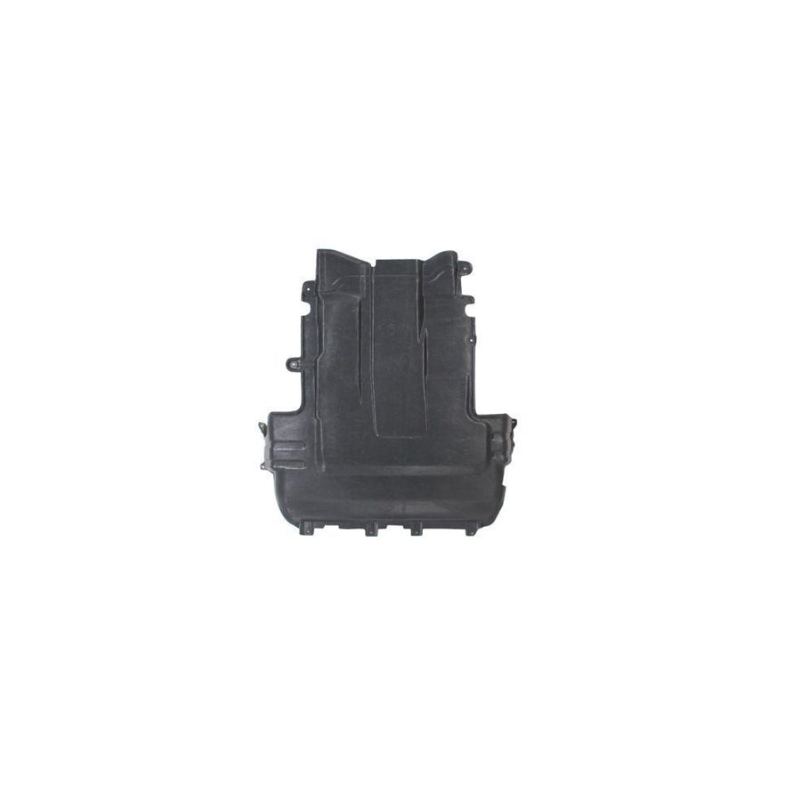 Blic 6601-02-2563860P Engine Cover