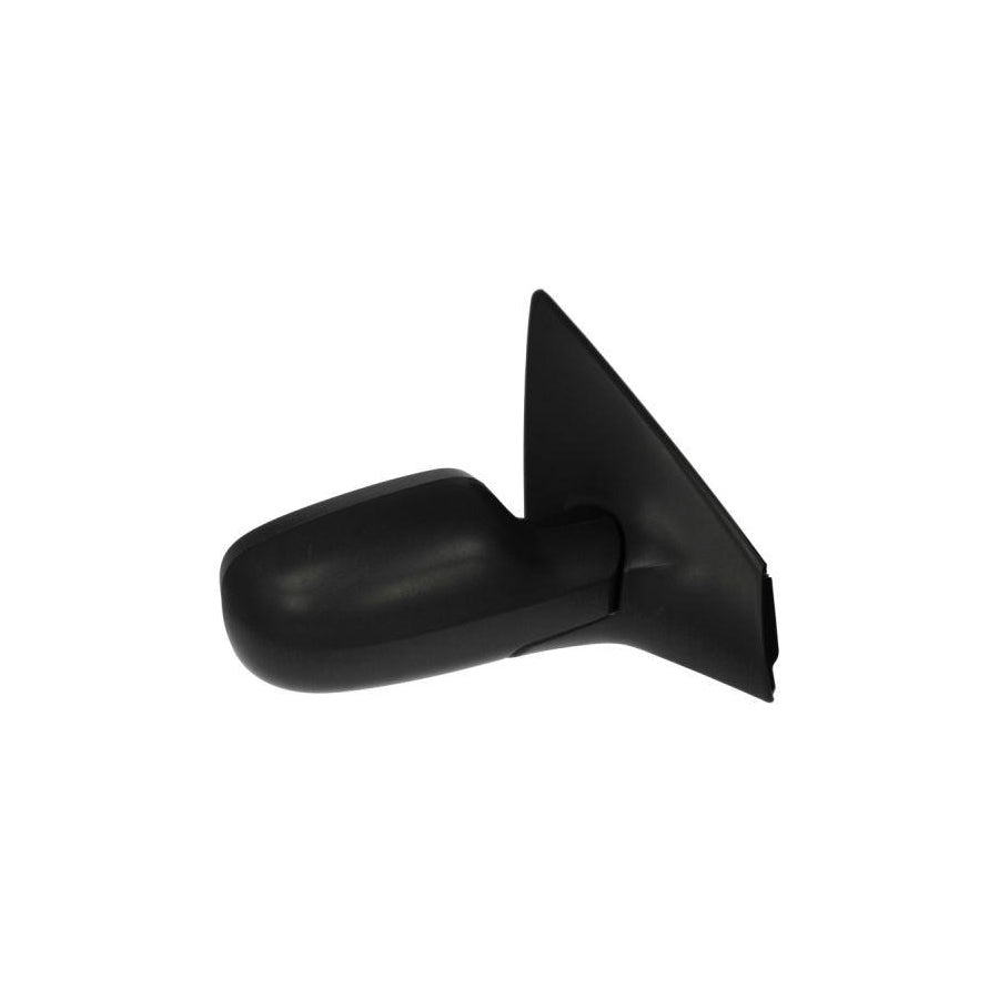 Blic 5402-04-1131228P Wing Mirror for Renault Megane