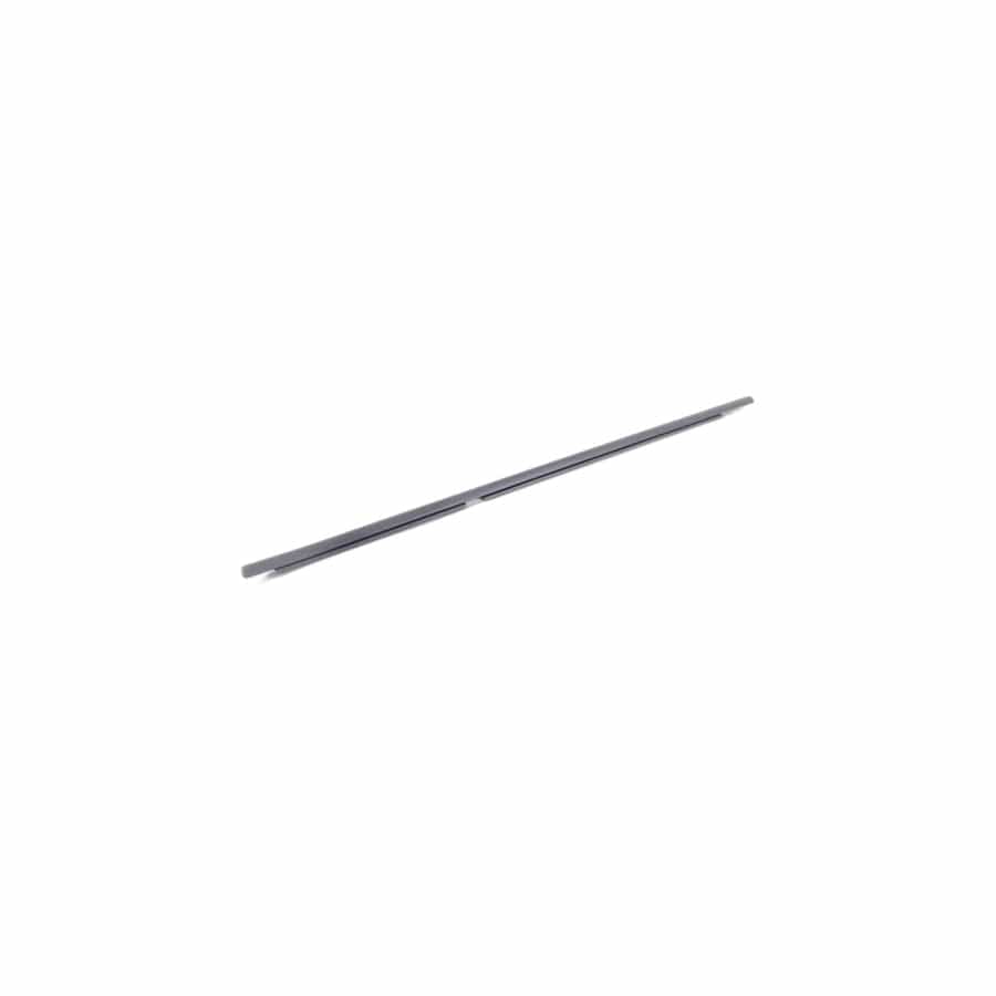Genuine BMW 51353330181 E83 Outer Weatherstrip, Rear Left Door (Inc. X3 2.5i, X3 1.8d & X3 3.0i)