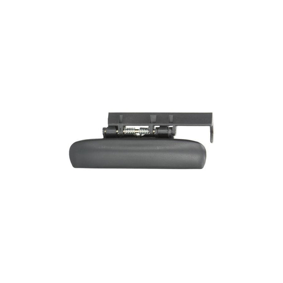 Blic 6010-21-016401P Door Handle for Citroen Xsara