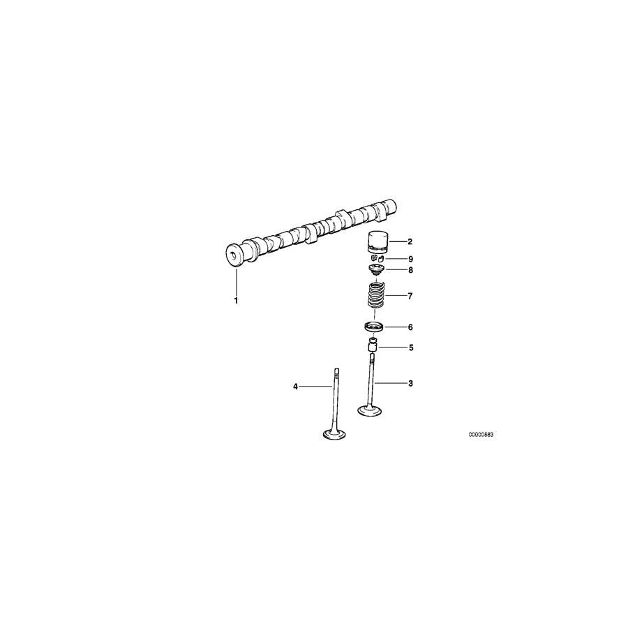 Genuine BMW 11342244862 E36 E34 Exh. Valve W.Oversize Va.System +0,1mm 31,0/6,05mm (Inc. 318tds, 325tds & 525td)