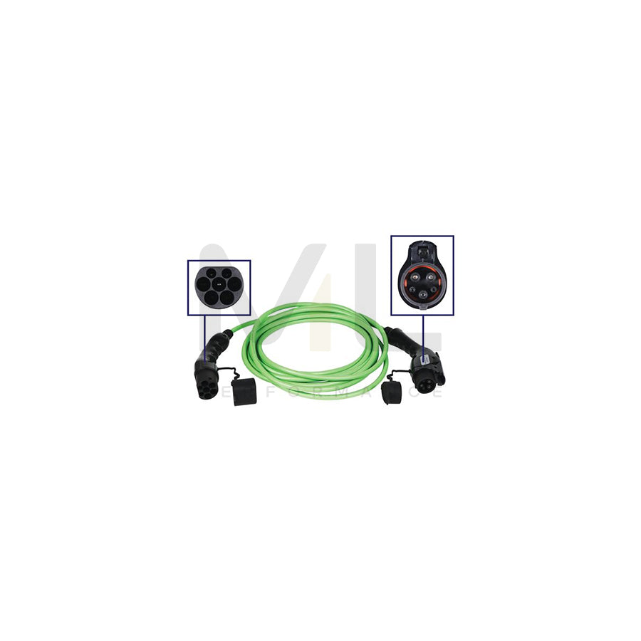 BLAUPUNKT 0270002 Charging cable Charging coupler type 2, Charging plug type 1, 32A, 4kW, 8m, Phases 1, 250V, IP54