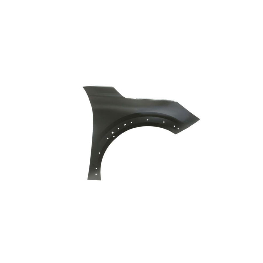 Blic 6504-04-5509314Pp Wing Fender for Peugeot 208 II Hatchback (Ub_, Up_, Uw_, Uj_)
