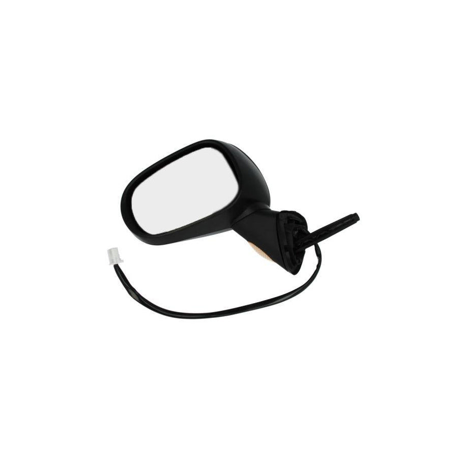 Blic 5402-04-1131179P Wing Mirror for Renault Modus / Grand Modus (F, Jp)