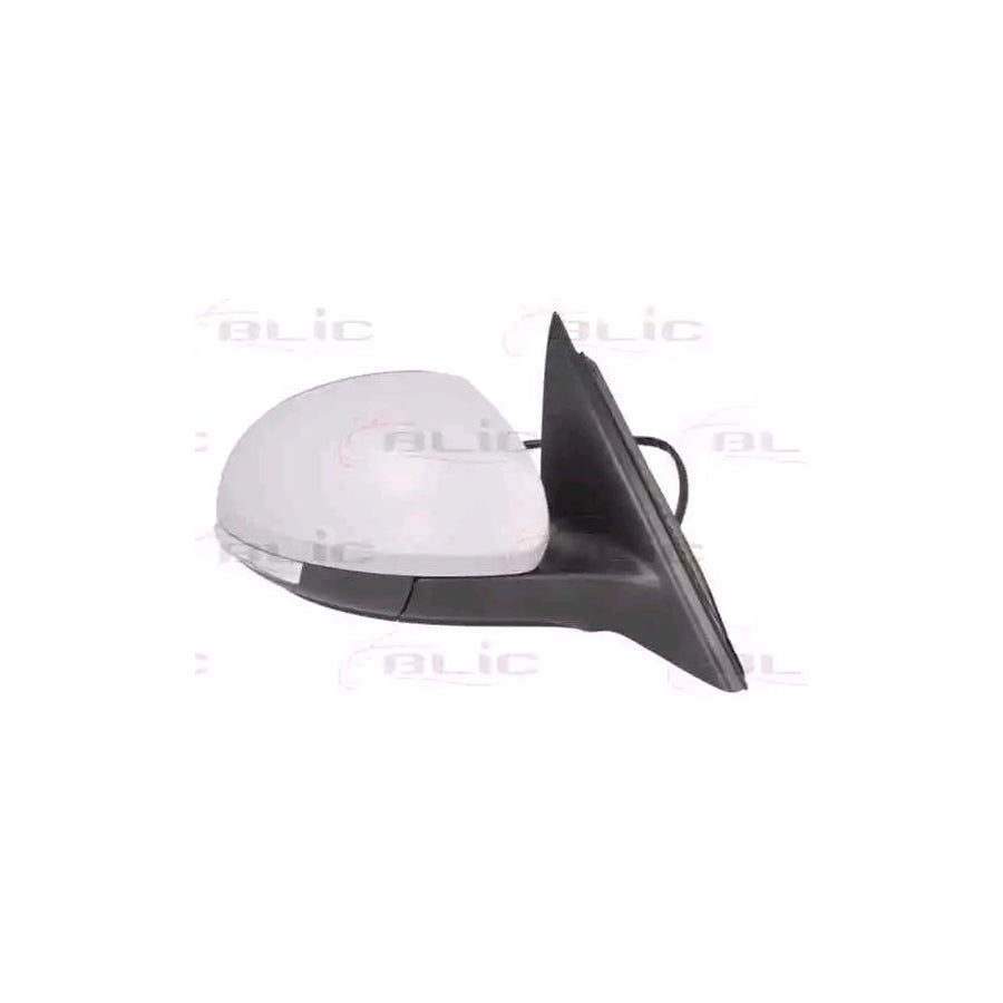 Blic 5402-43-2002370P Wing Mirror for Skoda Yeti (5L)