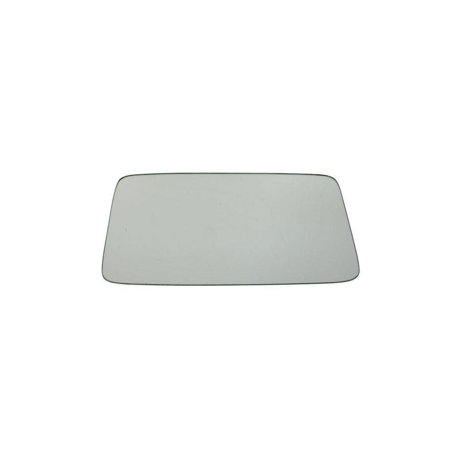 Blic 6502-07-2019916P Bumper Grill