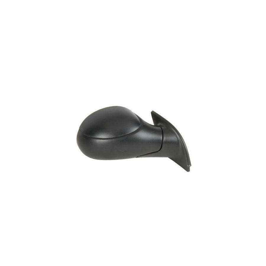 Blic 5402-04-1131851 Wing Mirror for Citroen C3 I Hatchback (Fc, Fn)