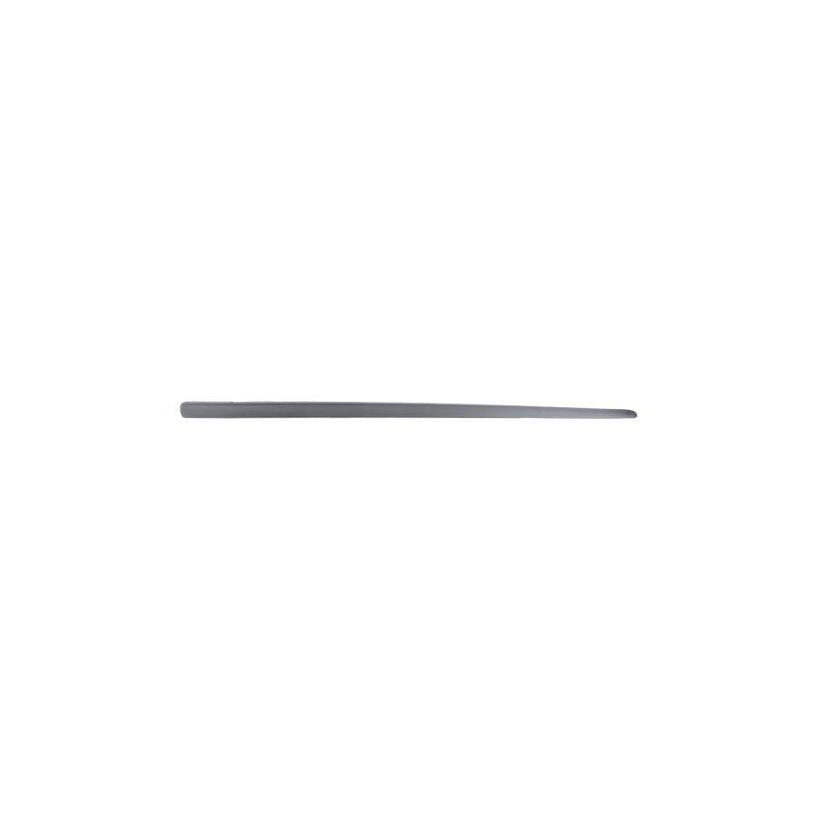 Blic 5703-02-2023483P Door Molding for Fiat Punto II Hatchback (188)