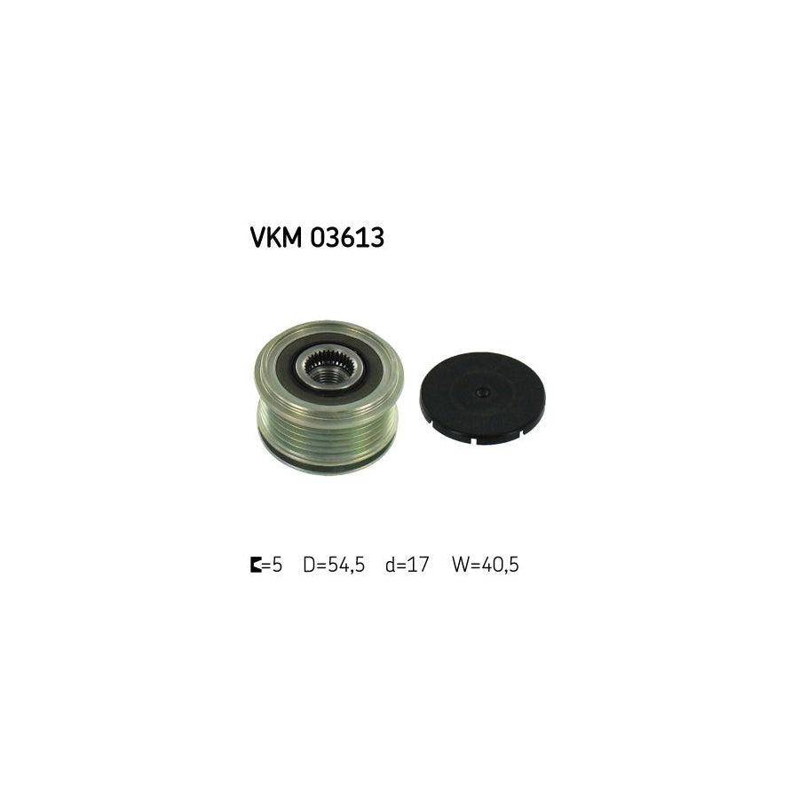 Skf Vkm 03613 Alternator Freewheel Clutch