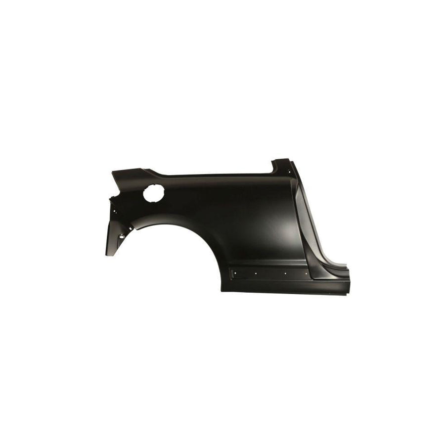 Blic 6504-01-0537512P Wing Fender for Citroen C4