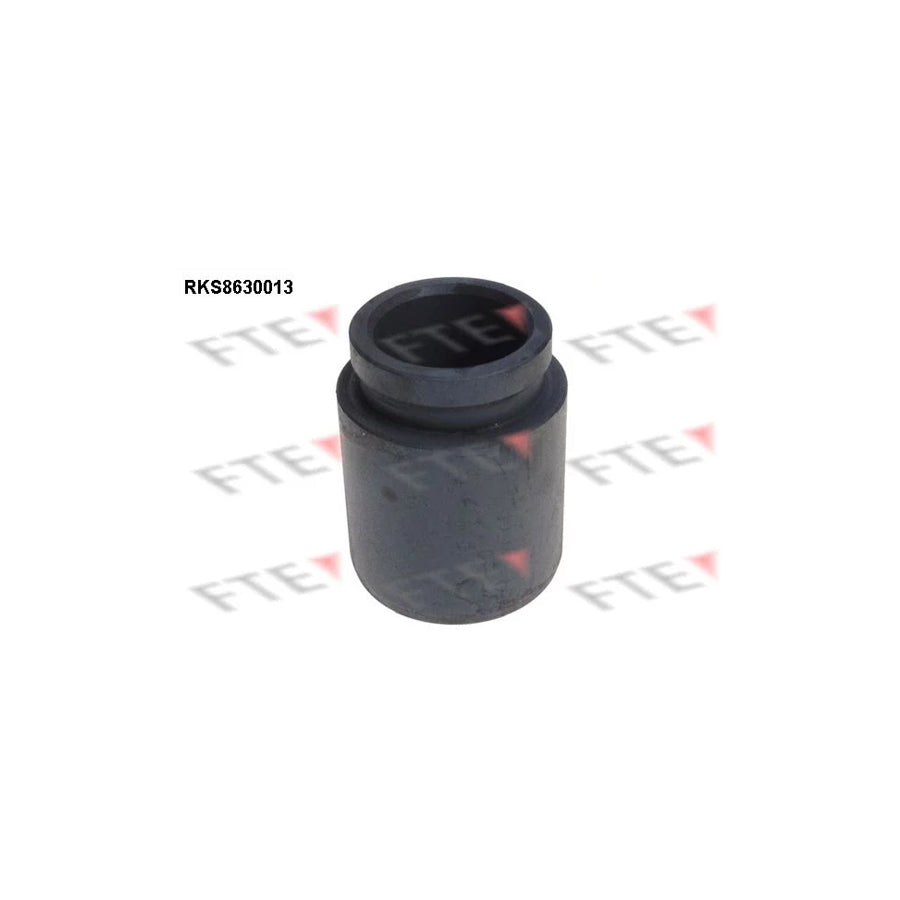 FTE 9313249 Piston, Brake Caliper