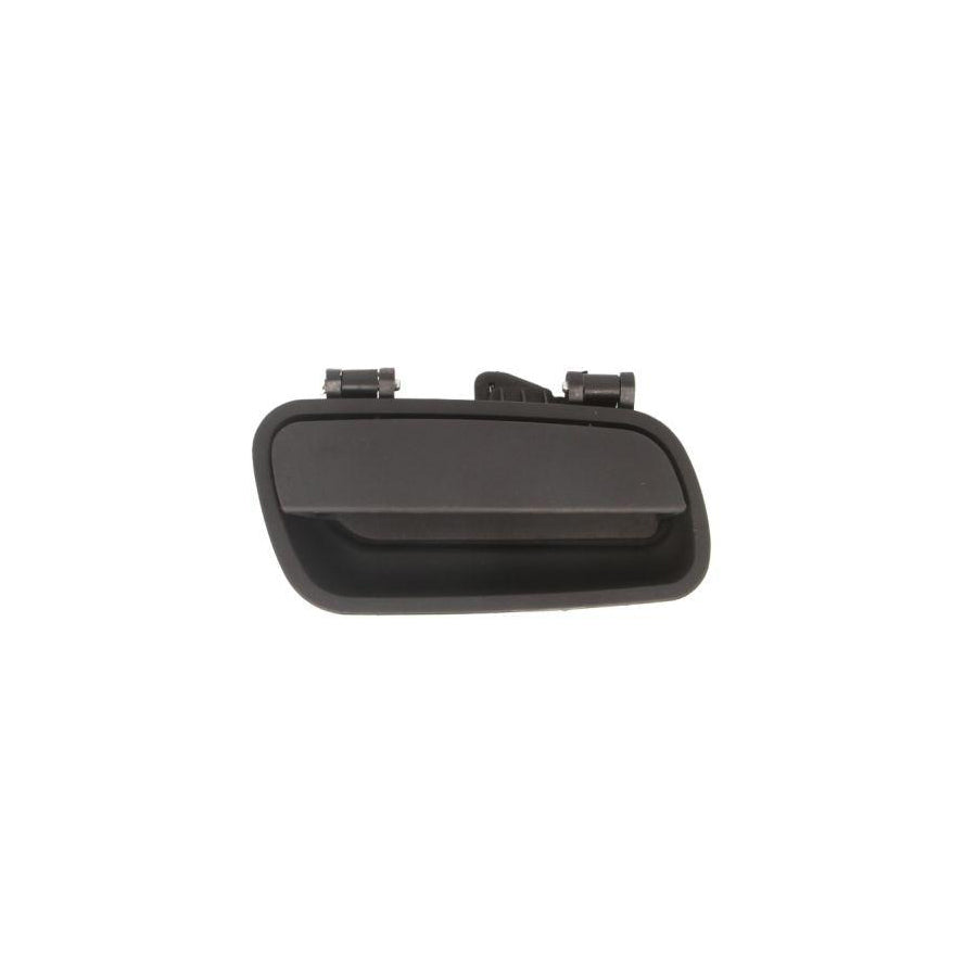 Blic 6010-21-015410Lwp Door Handle
