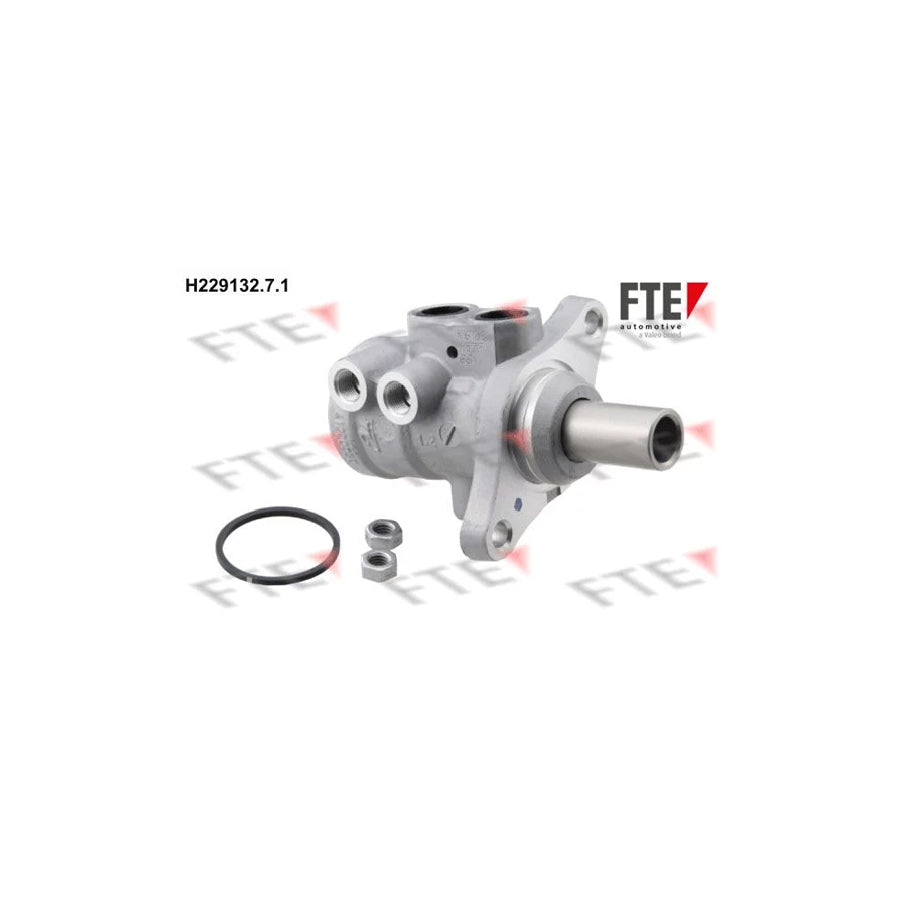 FTE H229132.7.1 Brake Master Cylinder for Peugeot 206