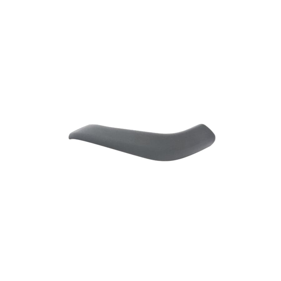 Genuine BMW 51417417514 F48 Trim Cover, Pull Strap, Right SCHWARZ (Inc. X1 18i)