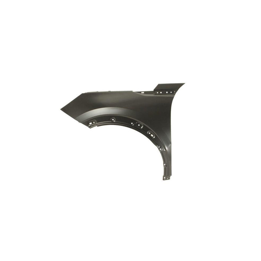 Blic 6504-04-5518311P Wing Fender for Peugeot 2008 II (U_)