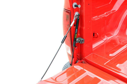 Dee Zee 02-09 Dodge Ram Tailgate Assist Shock