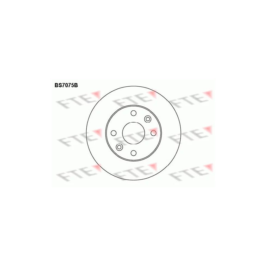 FTE Bs7075B Brake Disc for KIA Rio