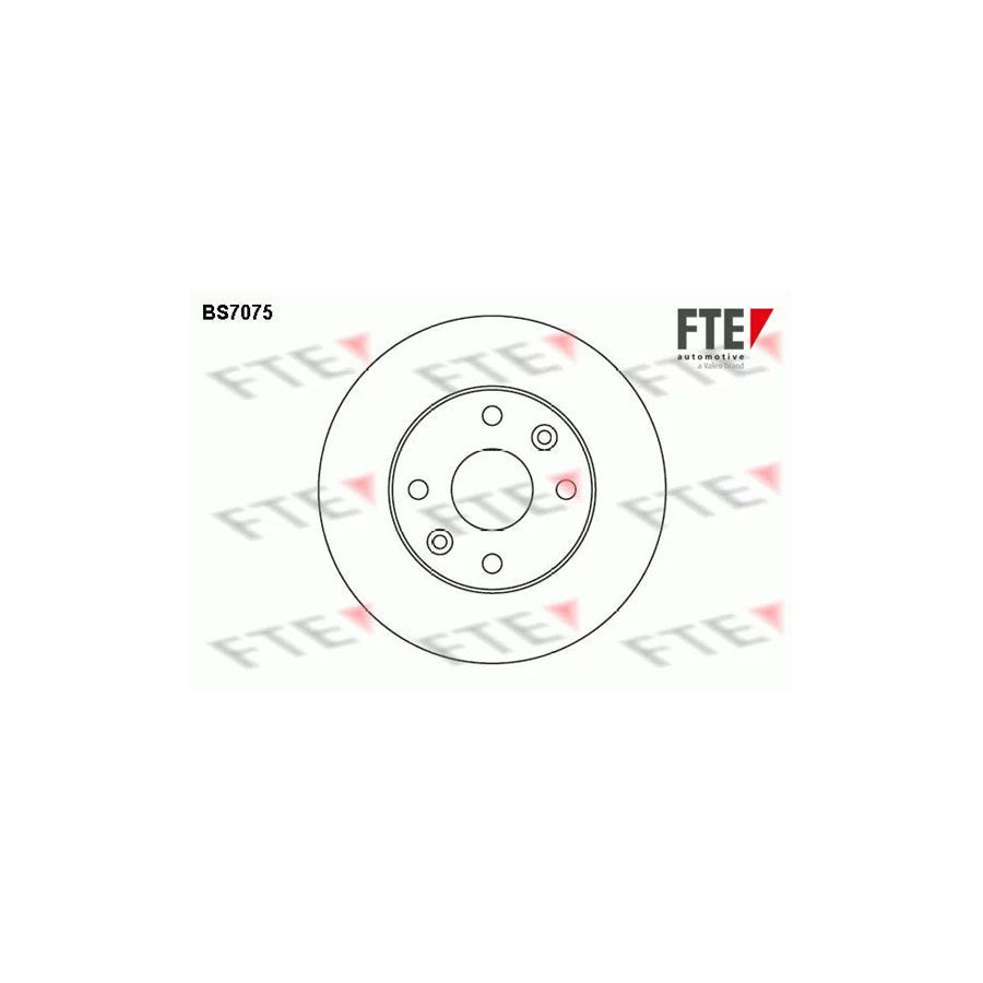 FTE Bs7075 Brake Disc for KIA Rio