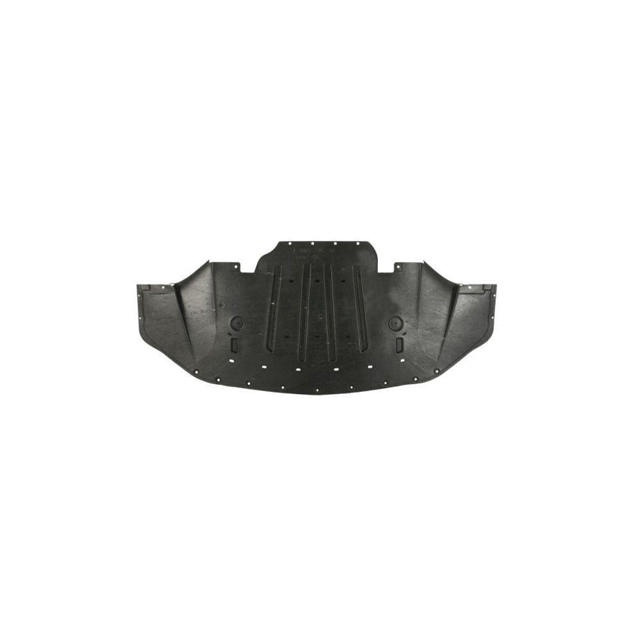 Blic 6601-02-2589862P Engine Cover for Ford USA Mustang