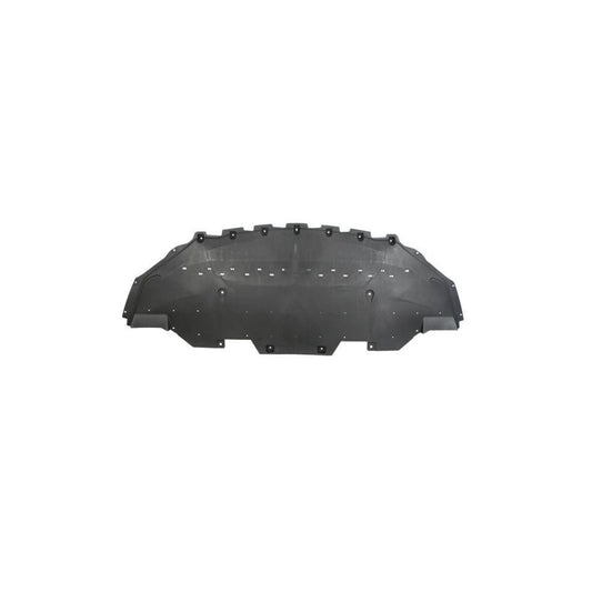 Blic 6601-02-2589860P Skid Plate for Ford USA Mustang Mach-E