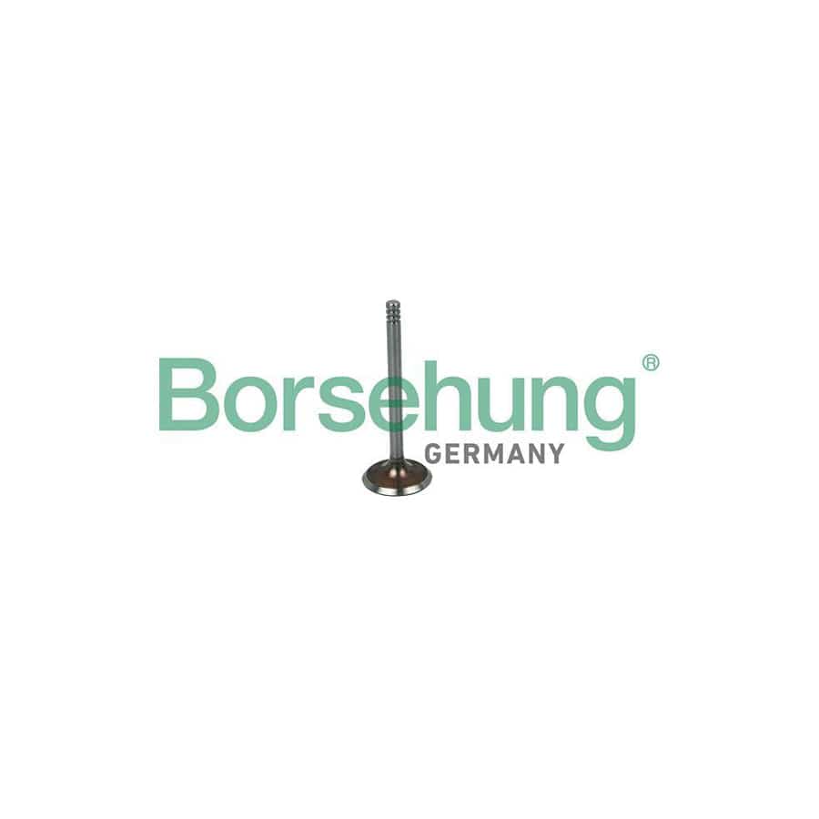 Borsehung B19030 Inlet Valve