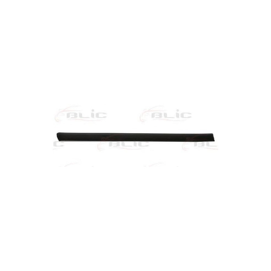 Blic 5703-04-0019574P Door Molding for Audi A4