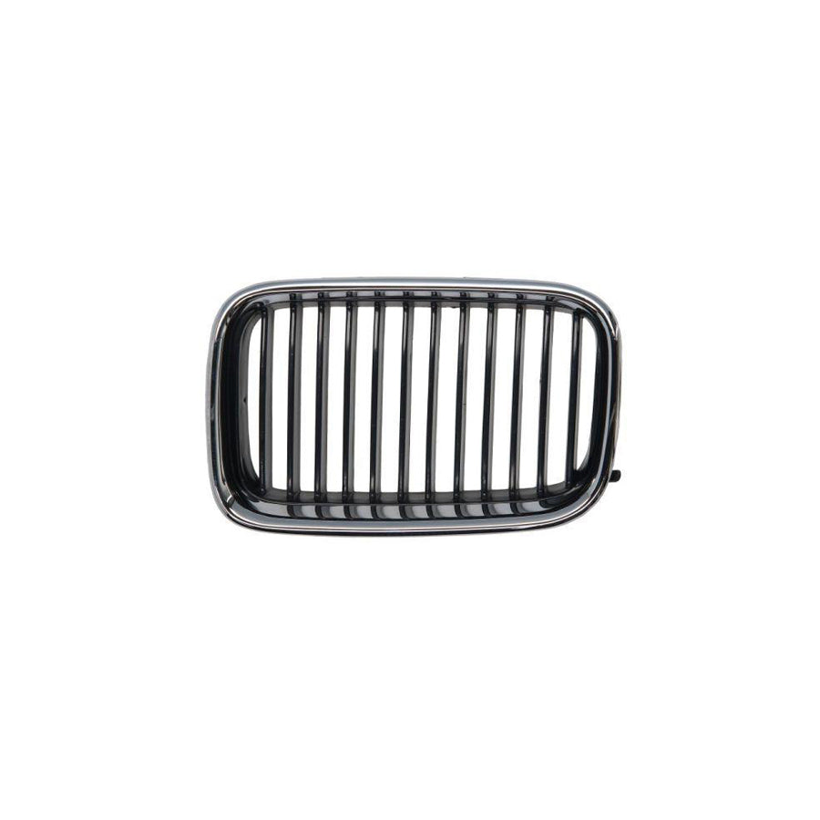 Blic 6502-07-0060991P Radiator Grille for BMW 3 Series