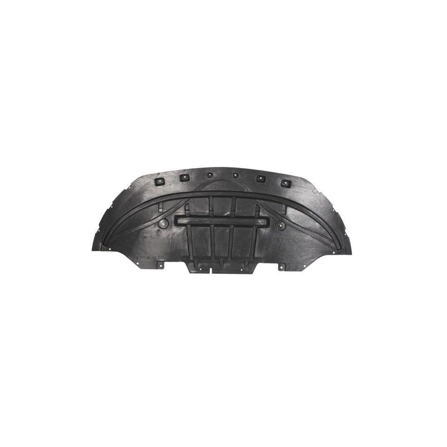 Blic 6601-02-2586882P Engine Cover for Ford USA Mustang