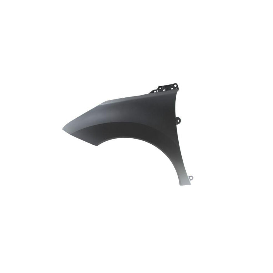 Blic 6504-04-5545311P Wing Fender for Peugeot 3008 I (0U_)