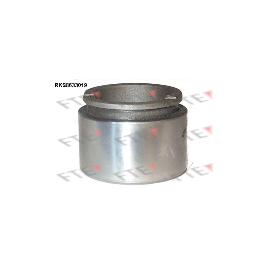 FTE 9313274 Piston, Brake Caliper