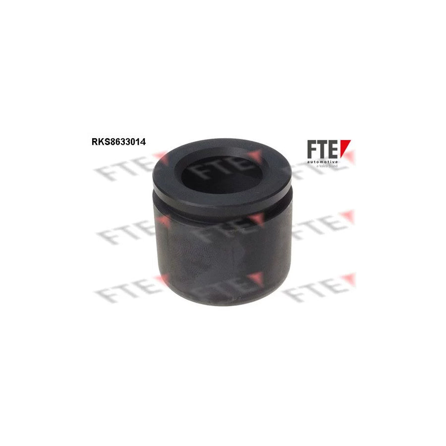 FTE 9313271 Piston, Brake Caliper Suitable for Mercedes-Benz T2