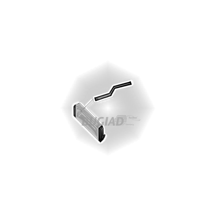 BUGIAD 88803 Charger Intake Hose for Ford Transit