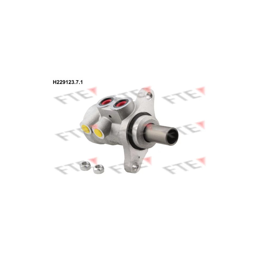 FTE H229123.7.1 Brake Master Cylinder for Peugeot 206