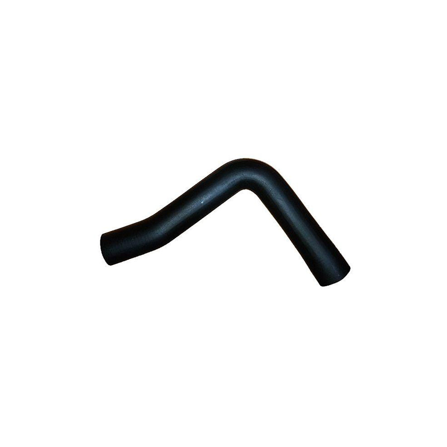 BUGIAD 88825 Charger Intake Hose