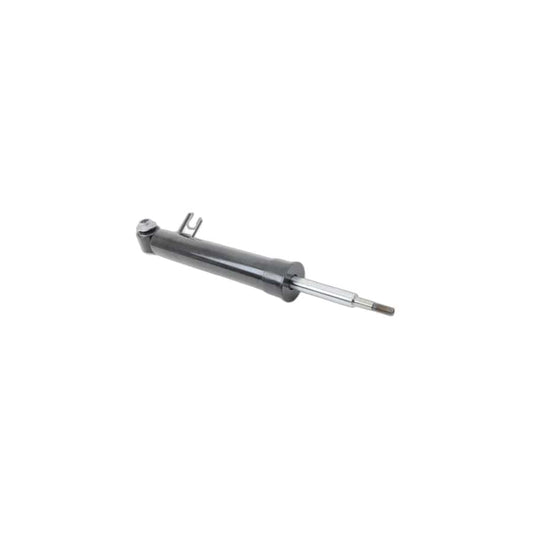 Genuine BMW 33526781925 E70 E71 Shock Absorber, Rear Left (Inc. X6)