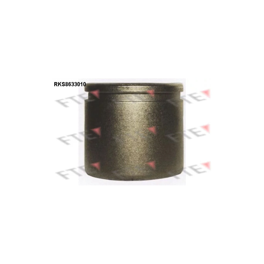 FTE 9313269 Piston, Brake Caliper Suitable for Mercedes-Benz 100