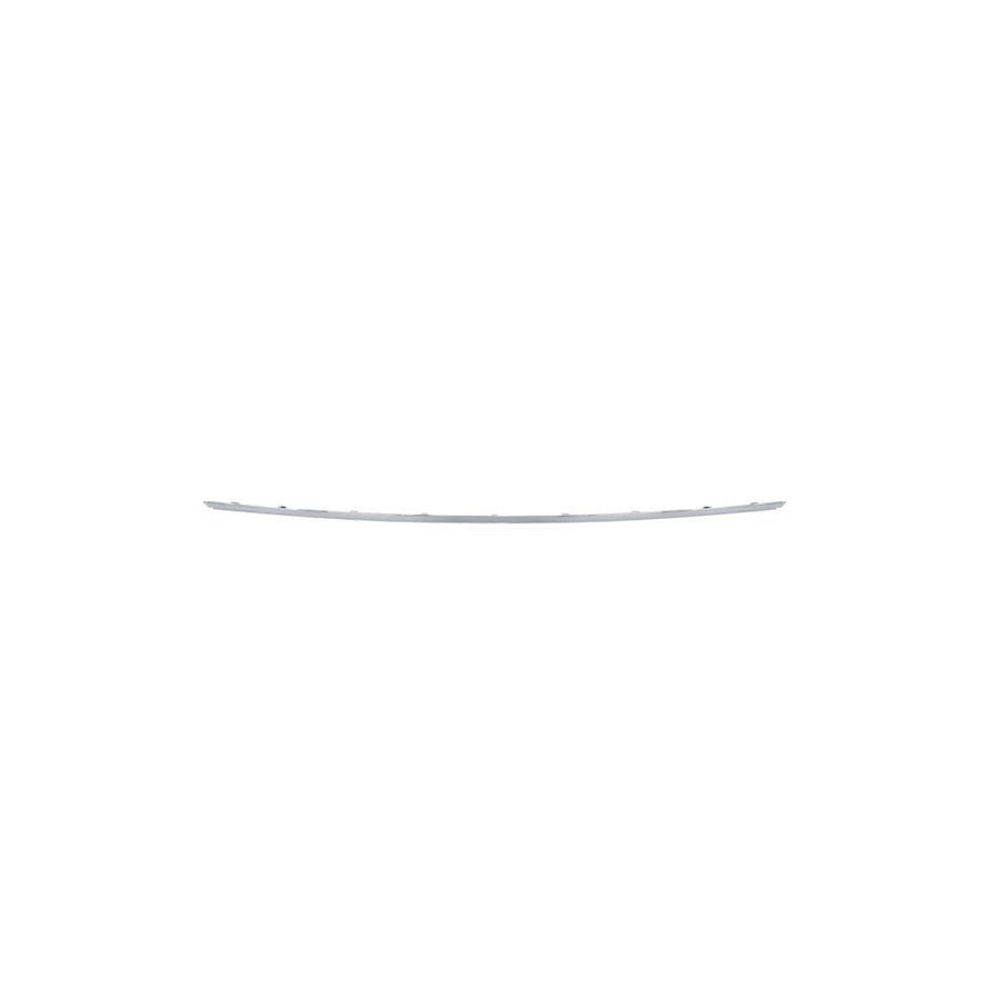 Blic 5703-05-3518976P Bumper Moulding Suitable for Mercedes-Benz C-Class