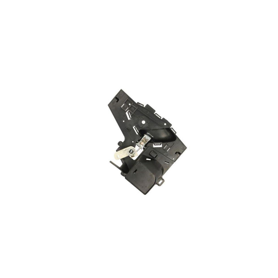 Blic 6010-21-020408Tp Door Handle for Citroen C5